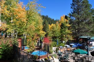 ovi pool exterior